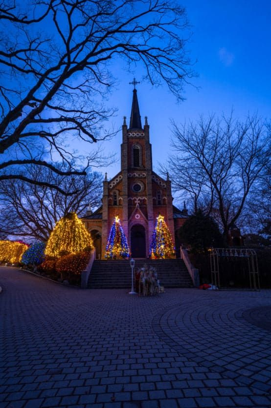 온라인 커뮤니티