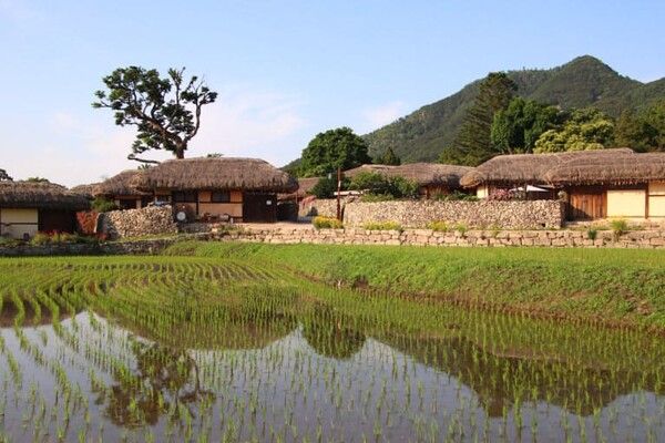 온라인 커뮤니티