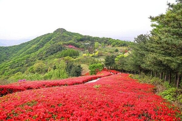 온라인 커뮤니티