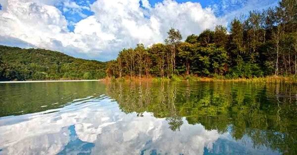 온라인 커뮤니티