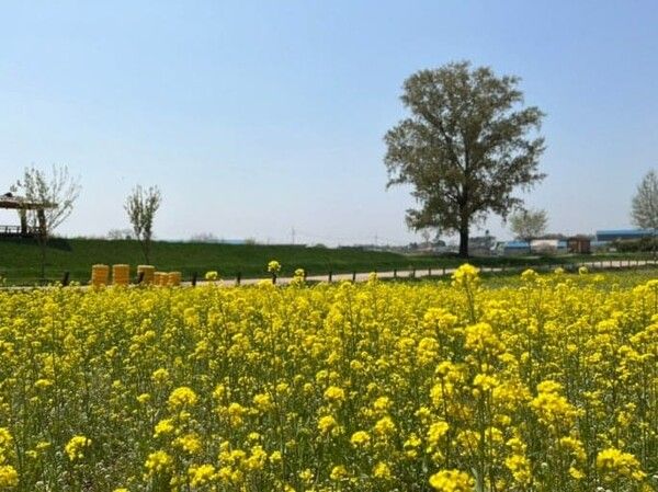 온라인 커뮤니티