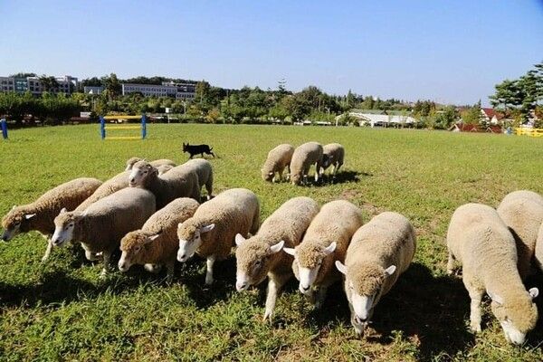 온라인 커뮤니티