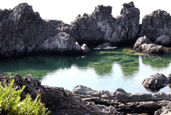 온라인 커뮤니티