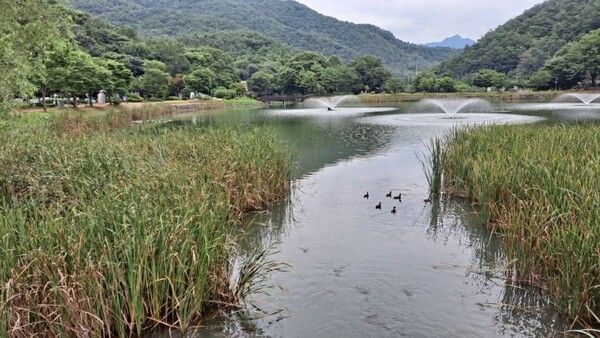 온라인 커뮤니티