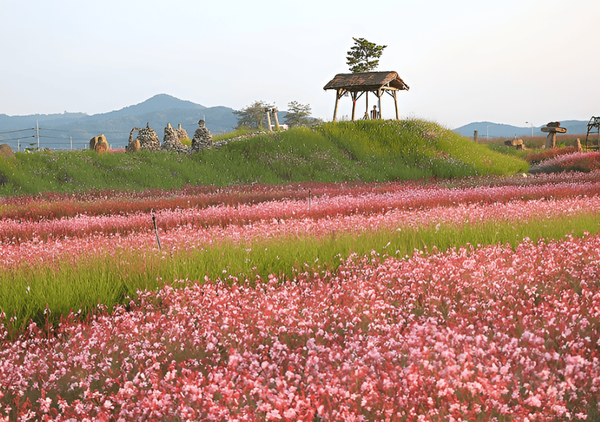 온라인 커뮤니티
