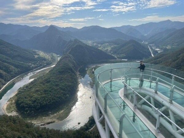 온라인 커뮤니티