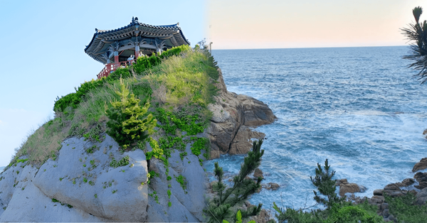 온라인 커뮤니티