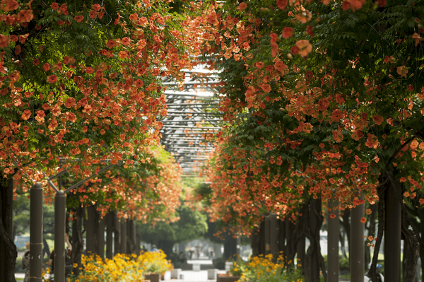 온라인 커뮤니티