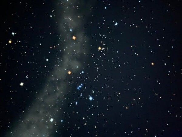 온라인 커뮤니티