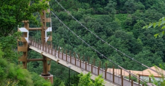 온라인 커뮤니티