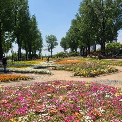 온라인 커뮤니티