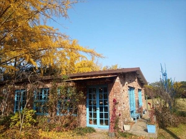 온라인 커뮤니티