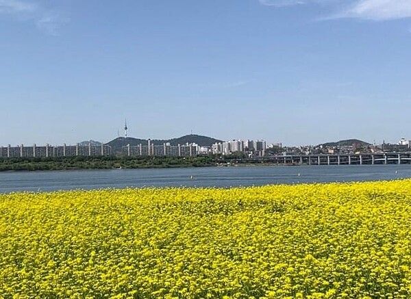 온라인 커뮤니티