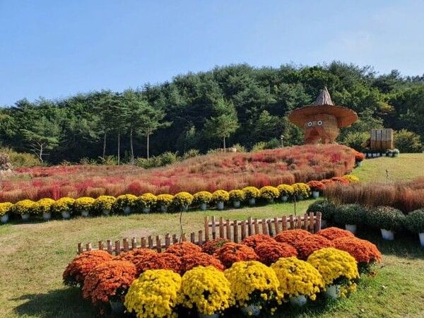 온라인 커뮤니티