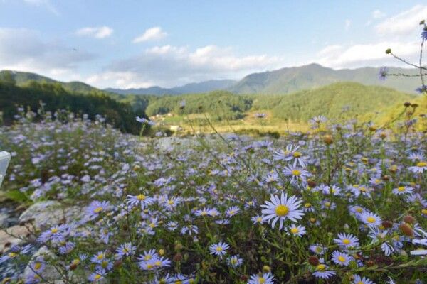 온라인 커뮤니티