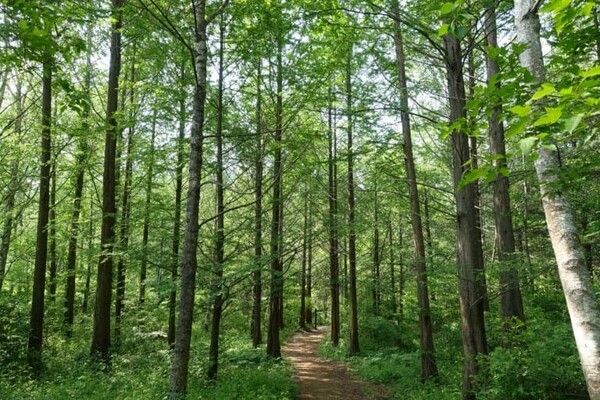 온라인 커뮤니티