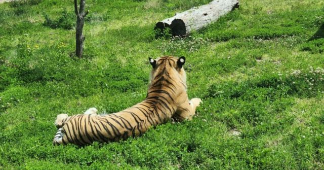 온라인 커뮤니티