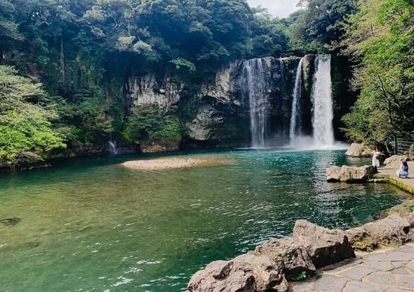 온라인 커뮤니티