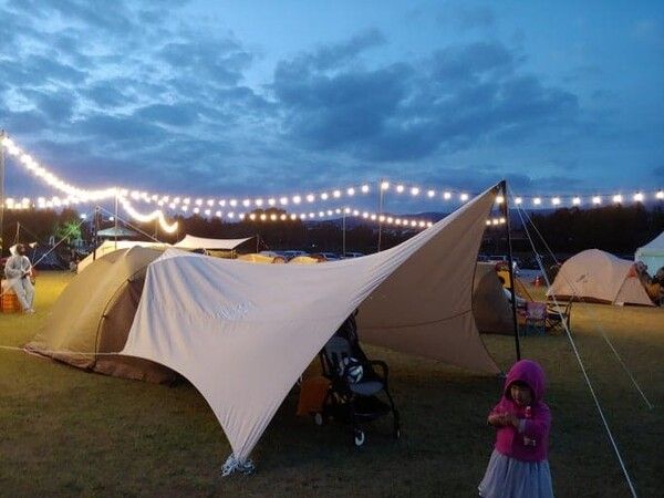 온라인 커뮤니티