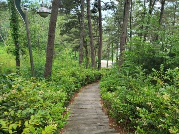 온라인 커뮤니티