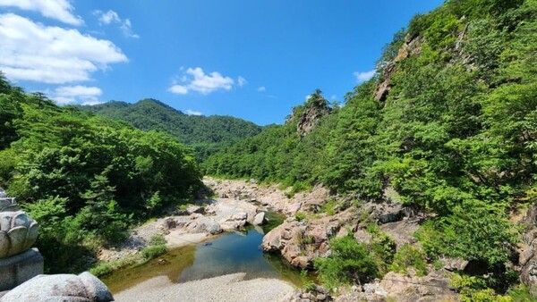 온라인 커뮤니티
