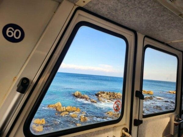 온라인 커뮤니티