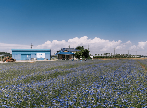 온라인 커뮤니티