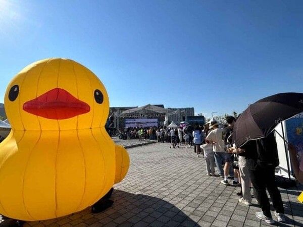 온라인 커뮤니티