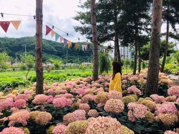 온라인 커뮤니티