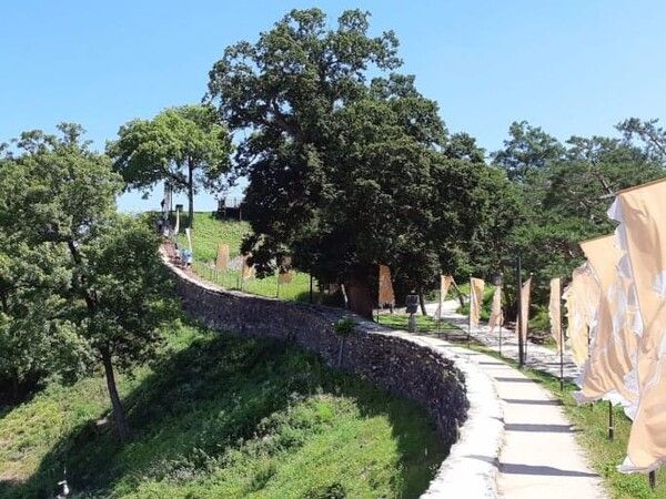 온라인 커뮤니티