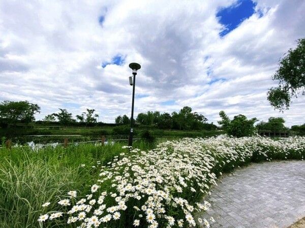 온라인 커뮤니티