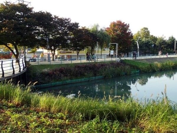 온라인 커뮤니티