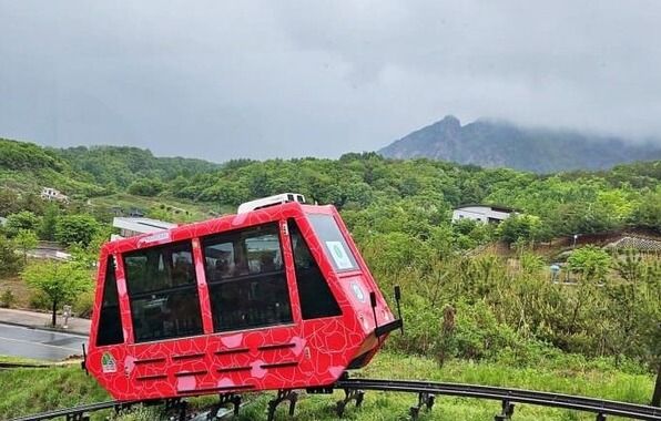 온라인 커뮤니티