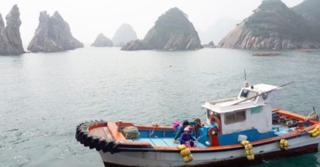 온라인 커뮤니티