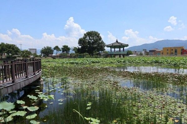 온라인 커뮤니티