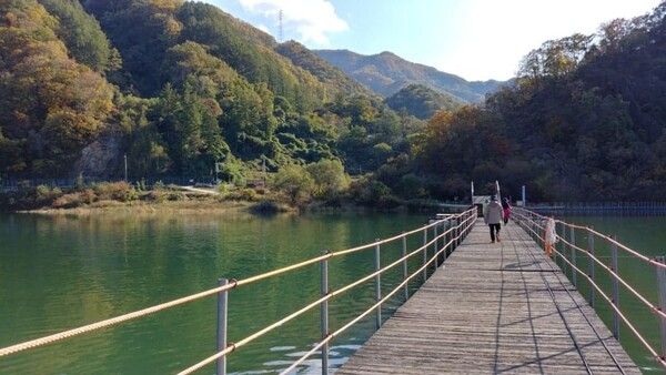 온라인 커뮤니티