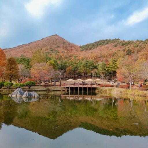 온라인 커뮤니티