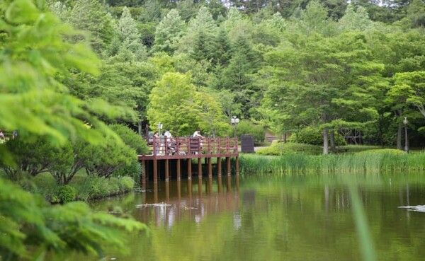 온라인 커뮤니티