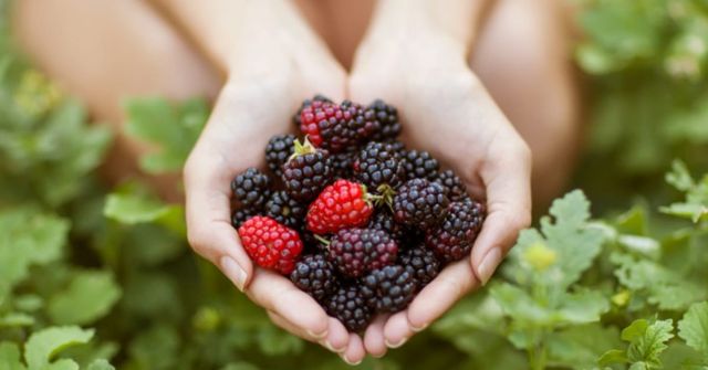 온라인 커뮤니티