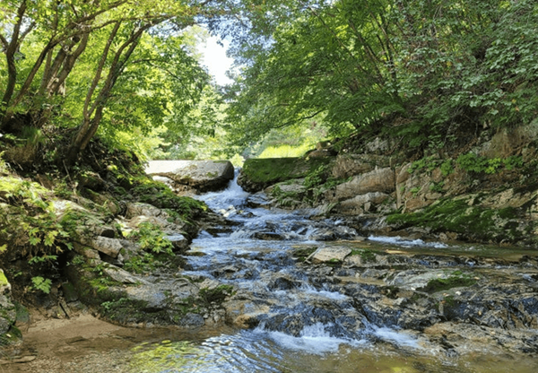 온라인 커뮤니티