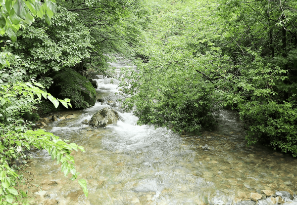 온라인 커뮤니티