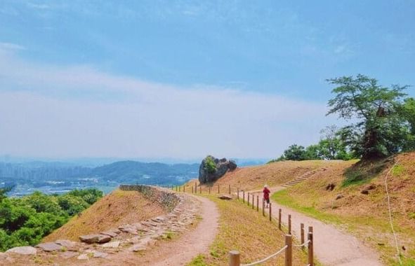 온라인 커뮤니티