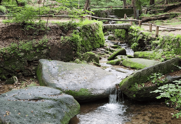 내 손안에 서울