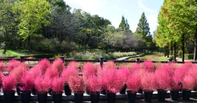 온라인 커뮤니티