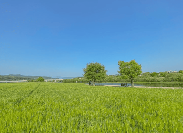 온라인 커뮤니티