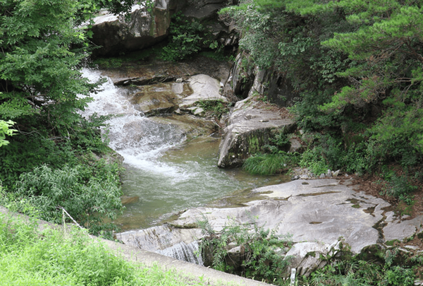 온라인 커뮤니티