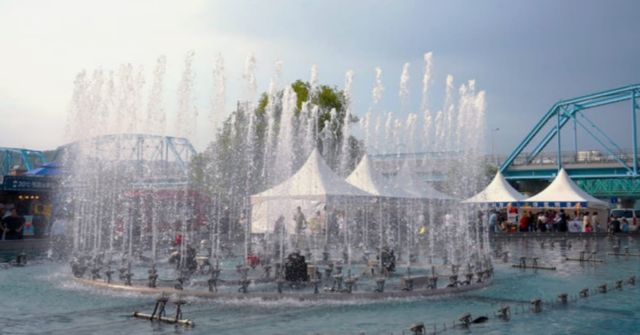 온라인 커뮤니티