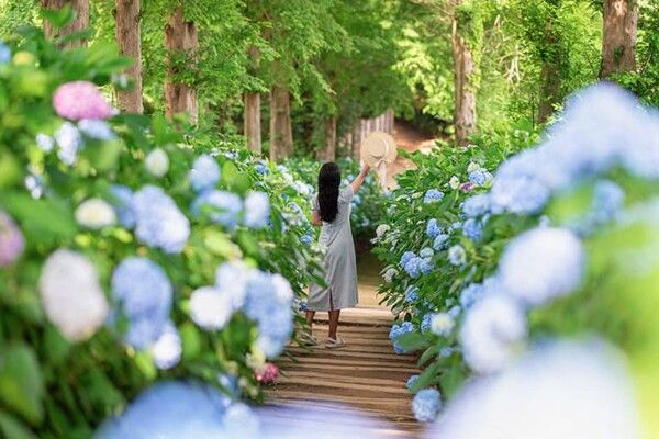 온라인 커뮤니티