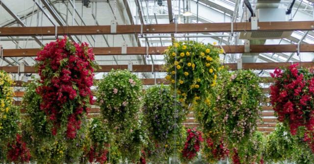 온라인 커뮤니티