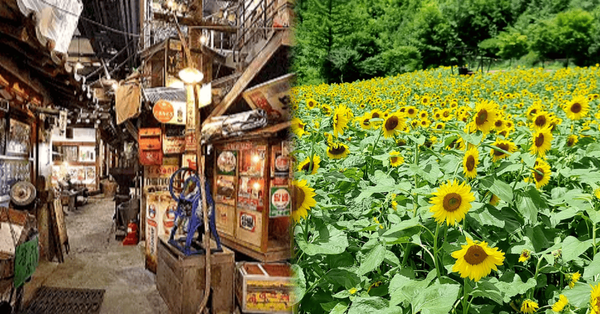 트리플 / 온라인 커뮤니티